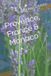 Provence, Libri GmbH Provence, France & Monaco