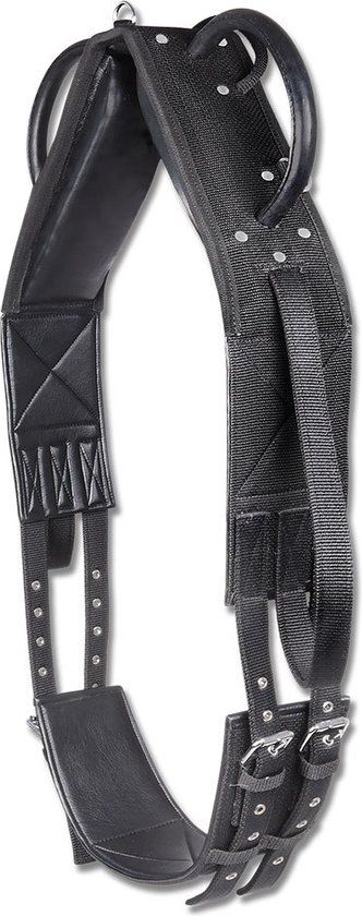 Waldhausen Synthetic Longeersingel Zwart Full