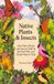 Native Plants & Insects: How Native Plants and Insects Hold Up the Food Web, and Simple Steps to Help