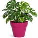 Mega Collections Plantenpot - Kunststof - Fuchsia Roze - Binnen/Buiten - D39xH35 cm