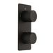 Lune Mitigeur de douche thermostatique encastré avec inverseur - Noir – 2 fonctions