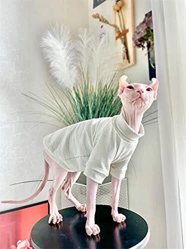 ZHIHAN Sphinx kattenkleding haarloze kat herfst eenvoudige onderkleding shirt, puur katoen stretch trui, lichtgroen, XXXL+