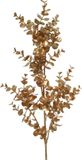 Merkloos Decoris Spray plastic l23b11h72cm goud
