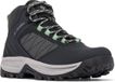 Columbia TRANSVERSE HIKE WATERPROOF Dames Wandelschoenen - Black