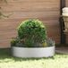 vidaXL Anneau de plante - 5 pièces - Argent - Acier - 80 x 80 x 20 cm