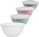 Goodie Bol met deksel, 5 L, set van 4, saladebol met deksel, mengbol, kunststof (PP), BPA-vrij- 28 x 13.5 cm, veelkleurig