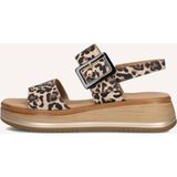 Gabor Sandalen 744.4 Bruin
