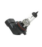 HELLA 8GH 005 636-121 Gloeilamp