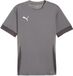 PUMA teamGOAL Matchday Jersey Heren Sportshirt - Cast Iron-PUMA White-Shadow Gray