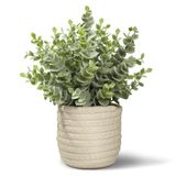 Hopewood Kunstplanten, nepplanten, eucalyptusplanten in pot voor thuiskantoor, kunstmatige eucalyptus met een geweven mand voor binnen, groen, tafelblad, decor middelpunt