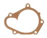 Gasket, Icecat Gasket, water pump