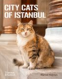 Thames & Hudson Ltd Chats de ville d'Istanbul