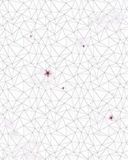 Komar Vlies fotobehang KERRY BLOSSOM, 200 x 250 cm