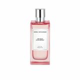 Angel Schlesser Eau de Toilette / 100 ml / Vrouwen