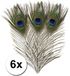 Rayher Hobby Pauwen veren 6 stuks