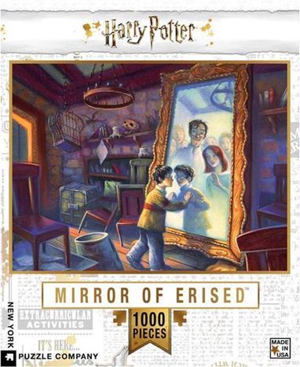 New York Puzzle Company Harry Potter Mirror of Erised puzzel - 1000 stukjes - New York Puzzle Company