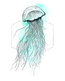 Komar Jellyfish Watercolor Poster