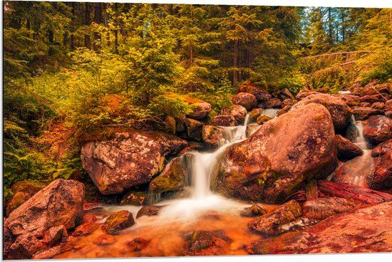 Merkloos / Sans marque Foto op Aluminium - Kleine Waterval door het Bos vol Bomen en Keien - 90x60 cm - Landelijk