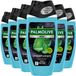Palmolive 4in1 Men Shower & Shave Aloe Vera & Green Tea - 6 x 250 ml