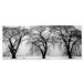 Homemania Afbeelding boom natuur en landschappen voor woonkamer, slaapkamer, meerkleurig, 70 x 3 x 100 cm, HM20KNV70 x 100 – 56, polyester, hout