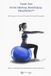 Functional Postural Training: 106 Progressive Corrective Exercises for Postural Integration