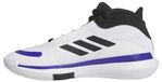 Adidas Bounce Legends Basketbalschoenen Wit EU 42 2/3 Man