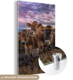 MuchoWow® Glass Painting 60x90 cm - Acrylic Glass Painting - Cow - Animals - Cows - Photo on Glass - Paintings