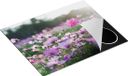 Chefcare Inductie Beschermer Bloemenveld - 65x52 cm - Multicolor