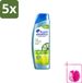 Head & Shoulders 5 x Anti-Roos Shampoo Pure Intense Oil Control 250 ml