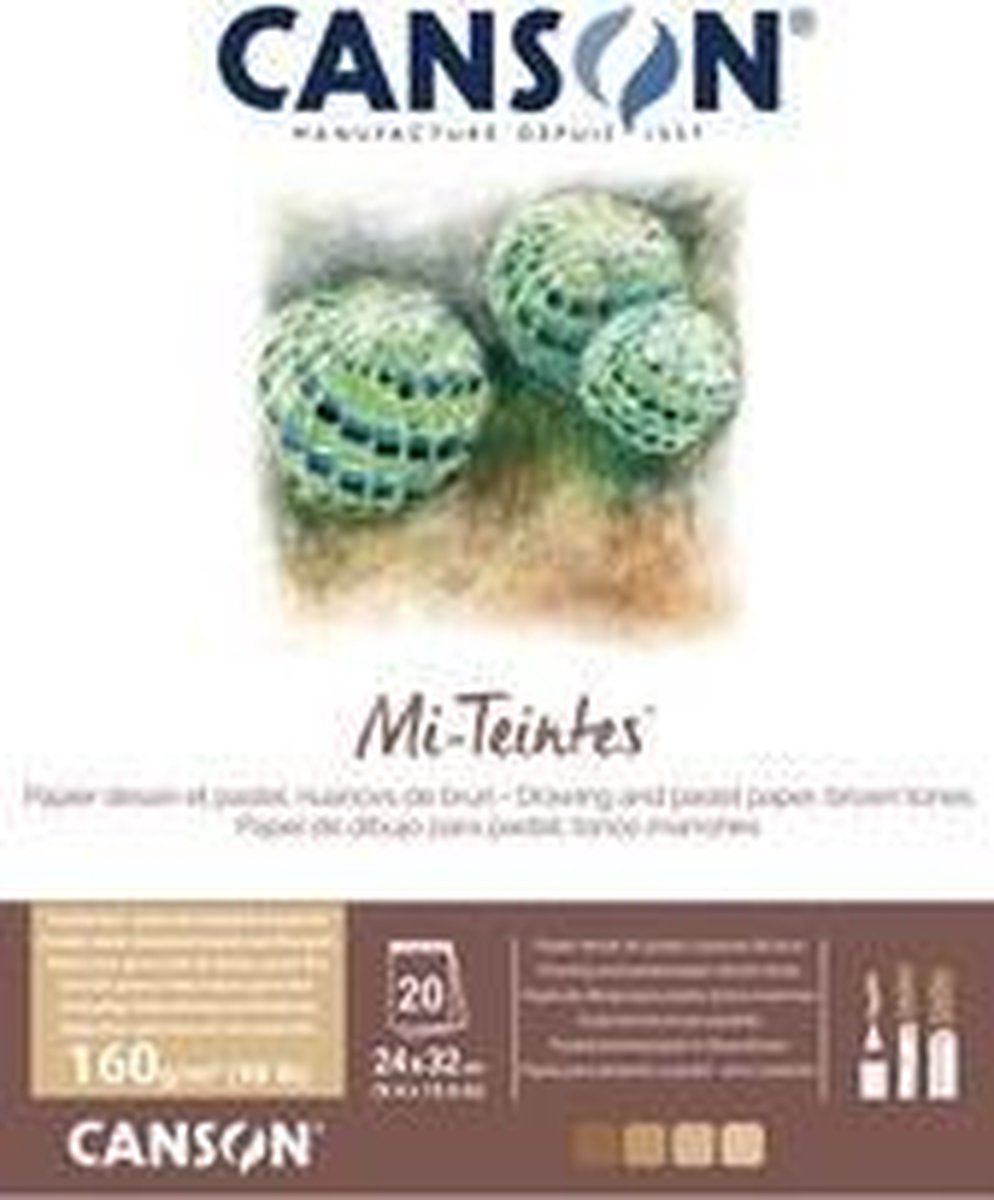 Canson Mi-Teintes tekenpapier - blok - 240 x 320 mm - 3148950033963