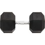 Haltère 30 kg fonte