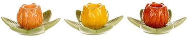 HBX natural living Kandelaar tulp 10x9x5cm