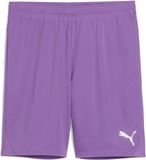 Puma Teamgoal Shorts Heren XL Ultraviolet-Puma White