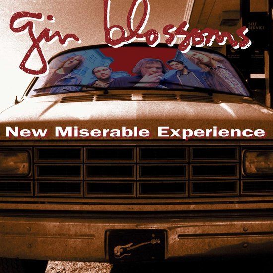 New Gin Blossoms New Miserable Experience