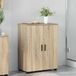 vidaXL Armoire de salle de bain Sonoma Chêne 60 x 35 x 80 cm Bois traité, Métal