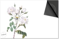 Dietrix Inductie Beschermer - 60x52 cm - Botanical - Witte Roosjes
