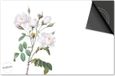 Dietrix Inductie Beschermer - 60x52 cm - Botanical - Witte Roosjes
