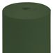 Garcia de Pou 167.48 Wegwerptafelkleed Rechthoekig Tissuepapier Groen 1200 mm x 50000 mm