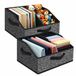 VINATO 2 stuks opbergdozen, 24 l, opvouwbaar, van stof met handvat, verstelbare scheidingswanden, ruimtebesparende organizer voor kleding, boeken, speelgoed, 40 x 30 x 20 cm, zwart