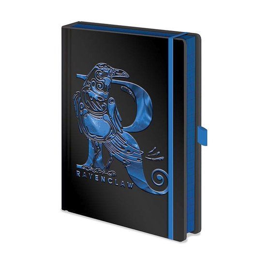 Hole in the Wall Harry Potter - Premium A5 Notitieboek - Ravenclaw