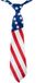 Merkloos Carnaval verkleed Stropdas - vlag USA - Verenigde Staten - volwassenen - landen thema