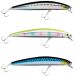 Daiwa Minnow Salt Pro Jerkbait Sp Flottant 31.5g 152mm