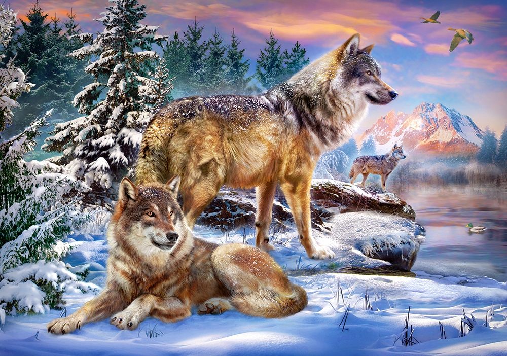 Castorland Wolfish Wonderland - 500 stukjes Puzzel - Multicolor