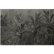 Papier peint panoramique forêt tropicale