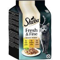 Sheba Fresh Fine natvoer kat volwassen multipack in saus kip, kalkoen en eend 36x50 g