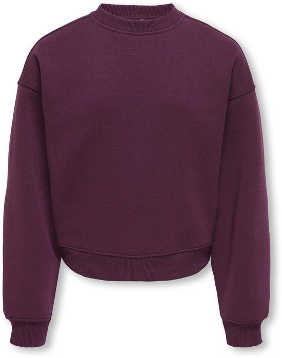 ONLY KIDS ONLY KOGBEST LIFE L/S CREW NECK SWT Meisjes Trui Paars 122/128