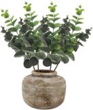 Bellatio Design Branche Eucalyptus Bella - 4 pièces - 38 cm - Vert foncé