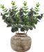 Bellatio Design Branche Eucalyptus Bella - 4 pièces - 38 cm - Vert foncé