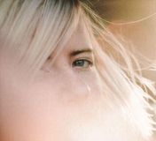 Bertus Distributie Amber Arcades Fading Lines