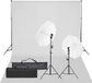 vidaXL Fotostudioset met verlichtingsset en achtergrond